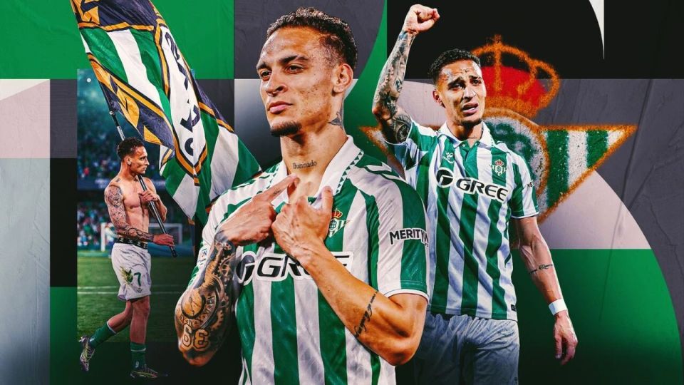 img, 体Fich img, 体Fich